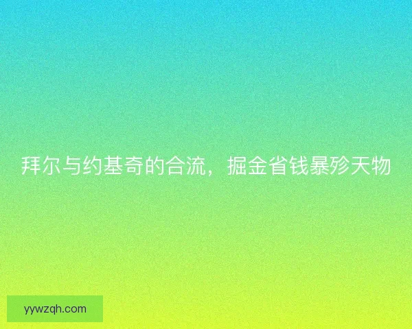 拜尔与约基奇的合流，掘金省钱暴殄天物