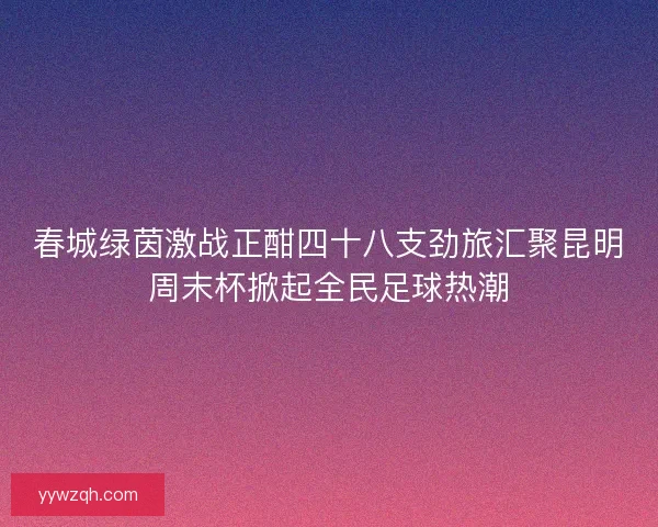 春城绿茵激战正酣四十八支劲旅汇聚昆明周末杯掀起全民足球热潮 春城绿茵激战正酣四十八支劲旅汇聚昆明周末杯掀起全民足球热潮