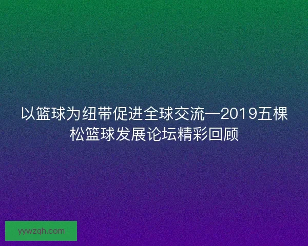以篮球为纽带促进全球交流—2019五棵松篮球发展论坛精彩回顾